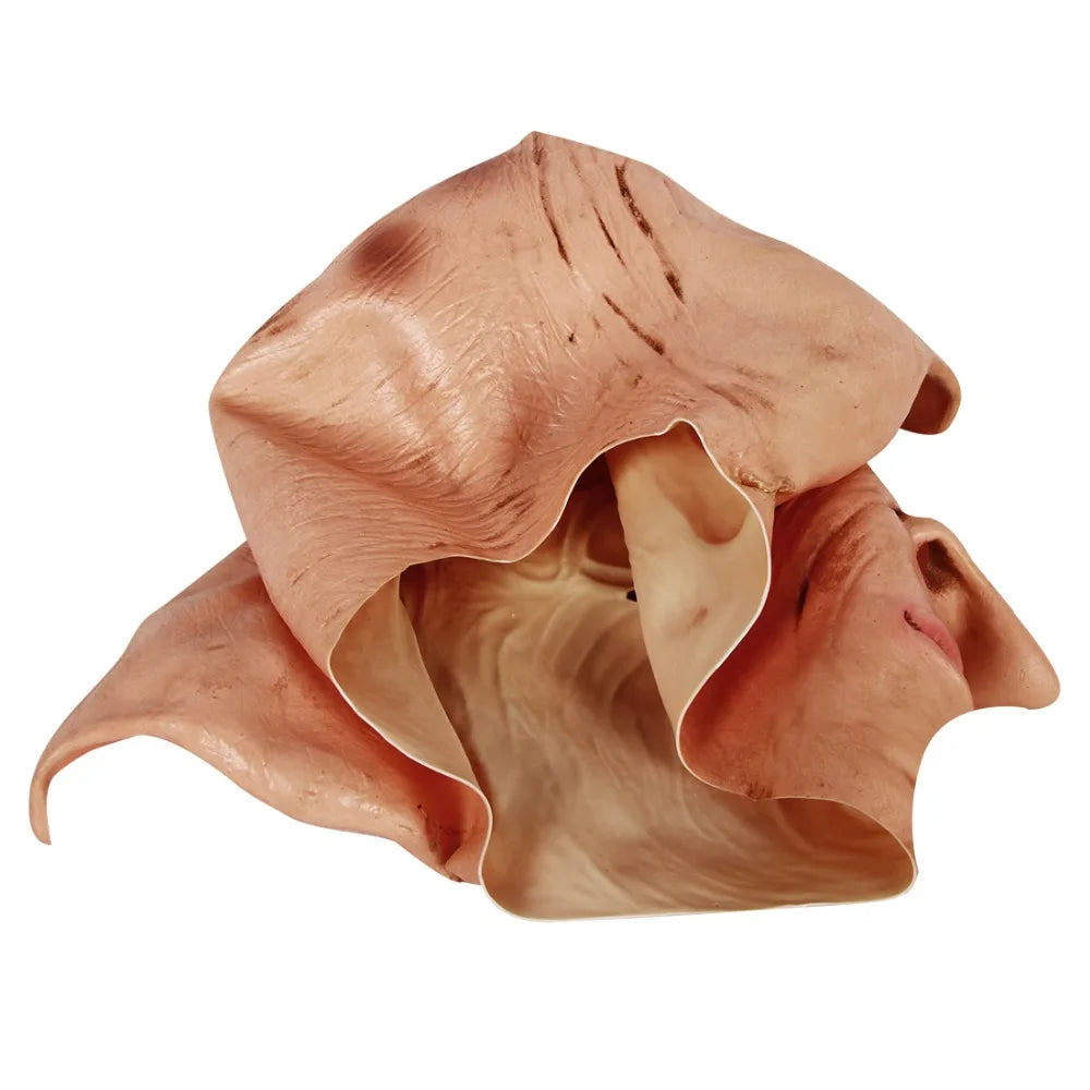 Dobby Mask