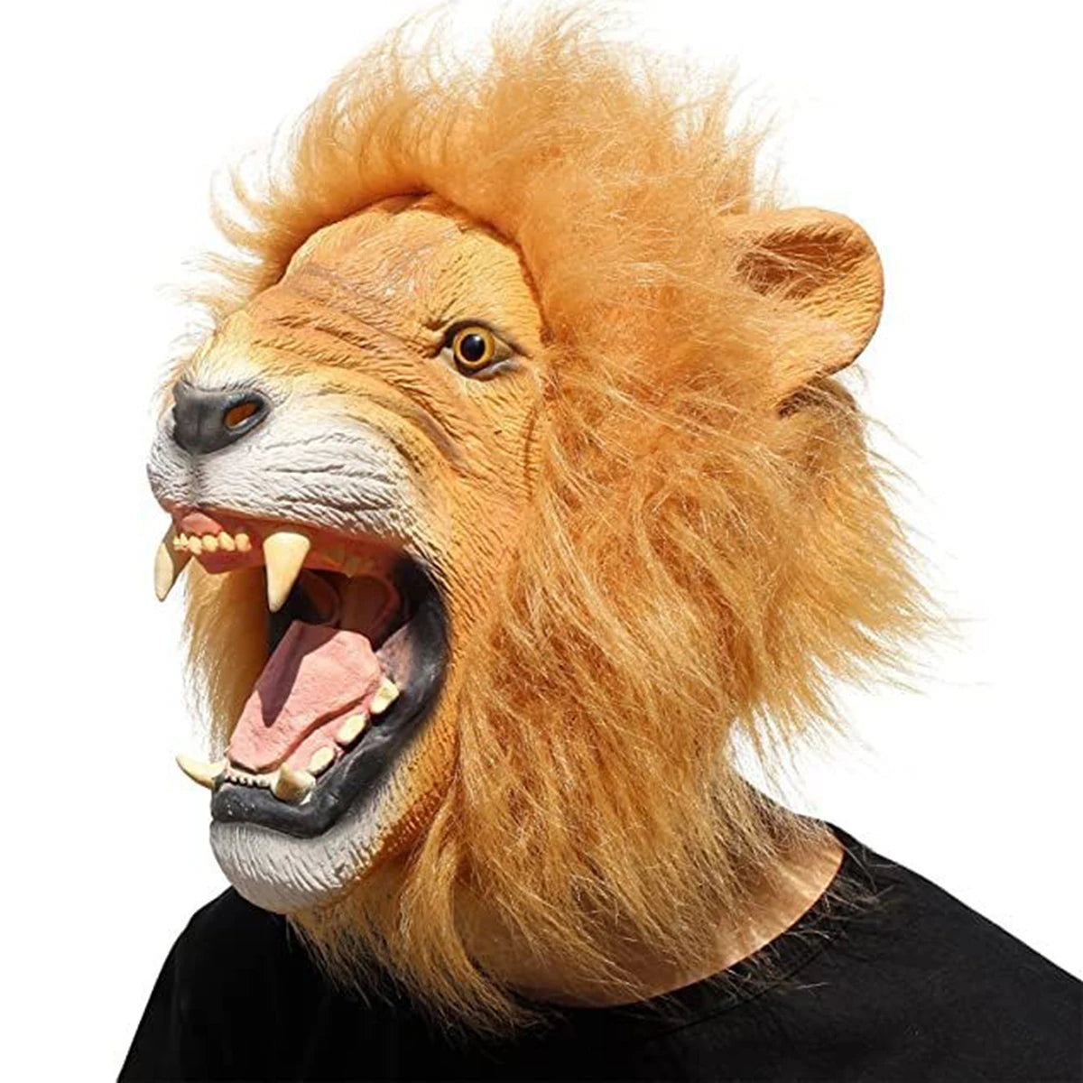Fun Green Fish Head, Horse Masks and Lion Mask