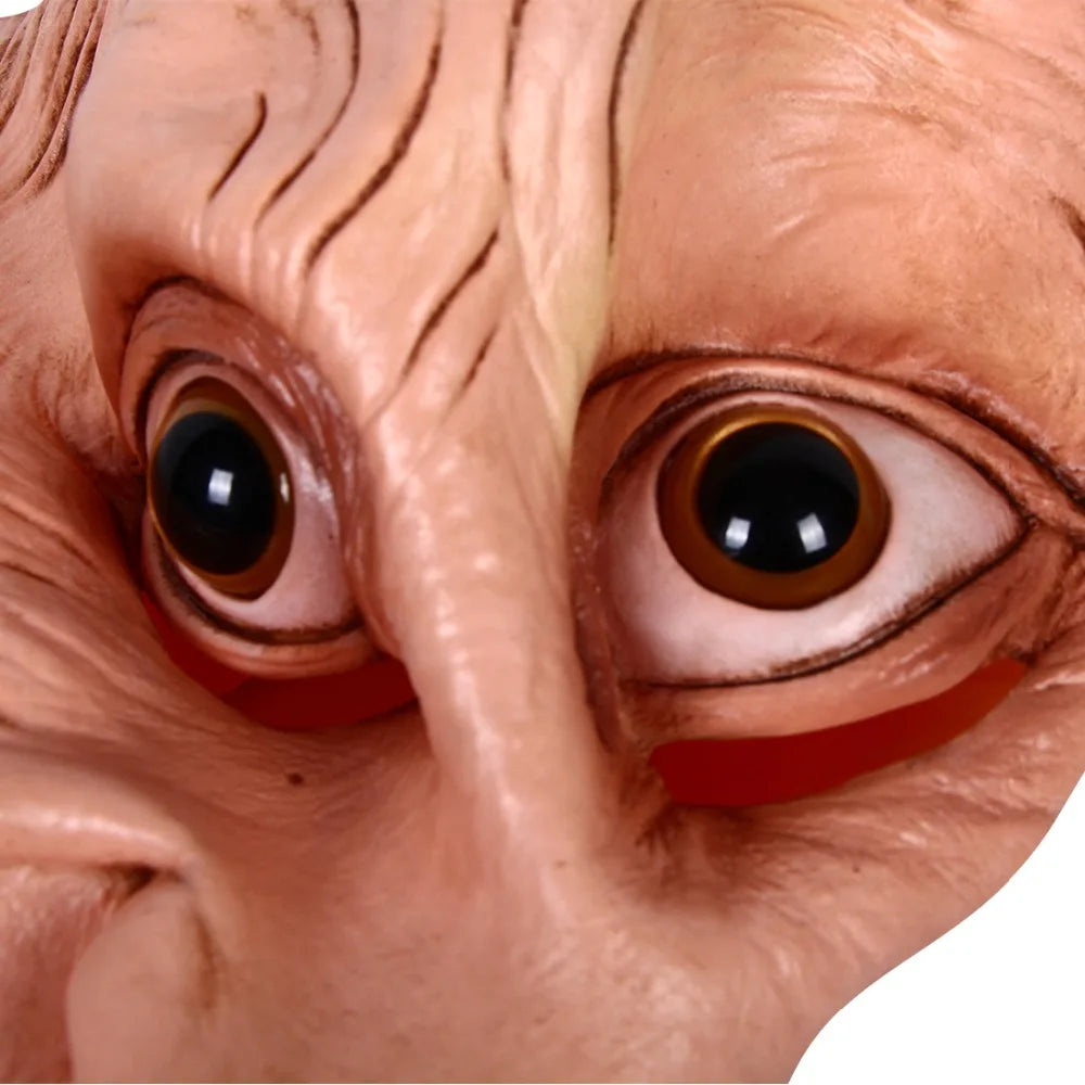 Dobby Mask